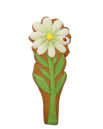 Bolacha de Mel com Especiarias Buquê de Flores 60g