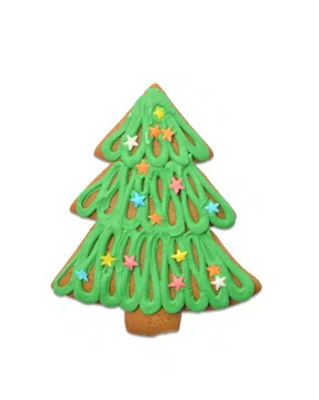 Bolacha de Mel sem Glúten e sem Lactose Pinheiro 25g