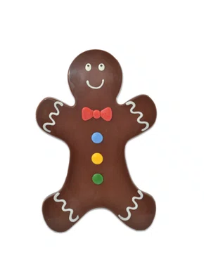 Chocolate ao Leite Ginger 100g