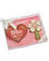 Kit Bolacha de Mel com Especiarias 60g Mãe